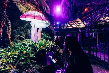 Girl walking through The Fernery at night and taking a picture on her phone of the lit up plants.
