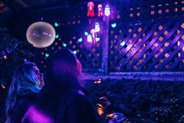 Girls walking through The Fernery at night and looking up admiring the lit up plants.