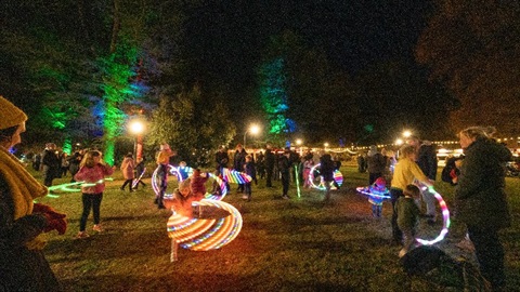 Forest-of-Light.jpg